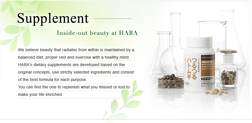 Supplement